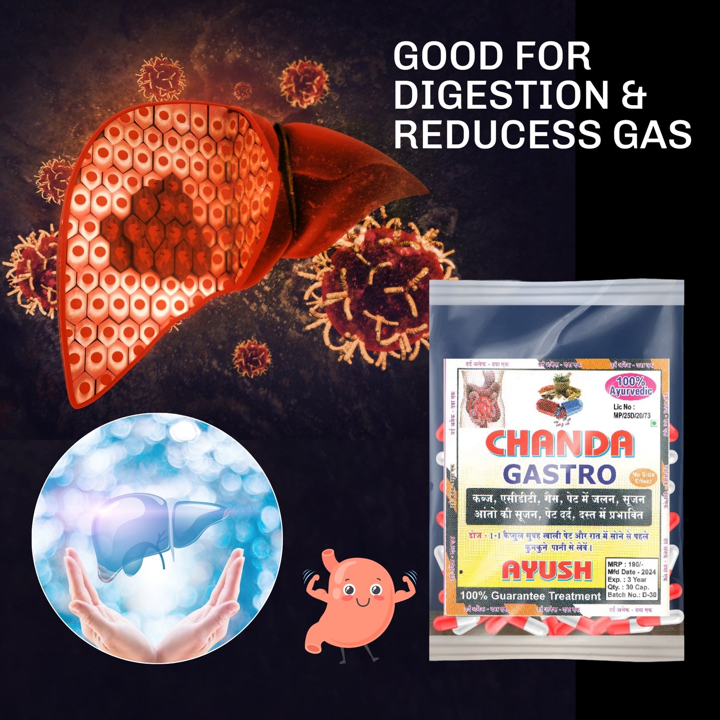 Chanda Gastro Capsules – Ayurvedic Herbal Support for Digestion & Stomach Comfort