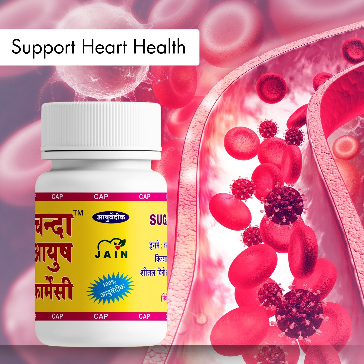 Chanda Sugar Controller – Ayurvedic Herbal Support for Healthy Blood Sugar